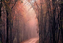 杜塞尔多夫力争主场大胜沃尔夫斯堡，不容有失