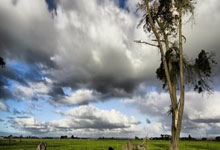 意大利客场逆袭瑞士，展现出色客场作战能力