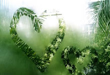 雷霆队后卫反击横扫对手，气势如虹