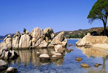 捷克女足实力强劲，豪取三分